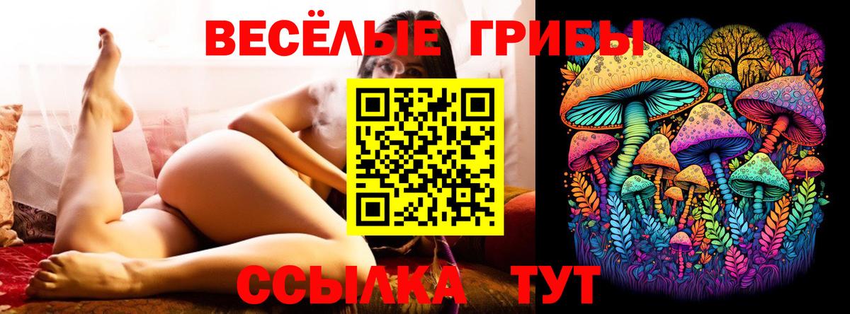 Псилоцибиновые грибы Magic Shrooms Партизанск