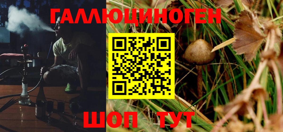 Псилоцибиновые грибы MAGIC MUSHROOMS  цены   Партизанск  Вход с VPN 