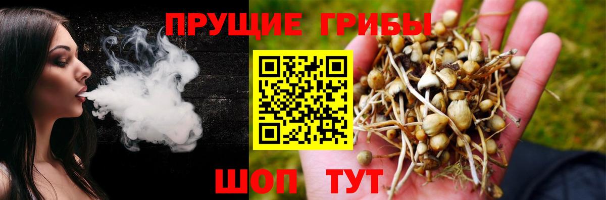 Амфетамин Партизанск